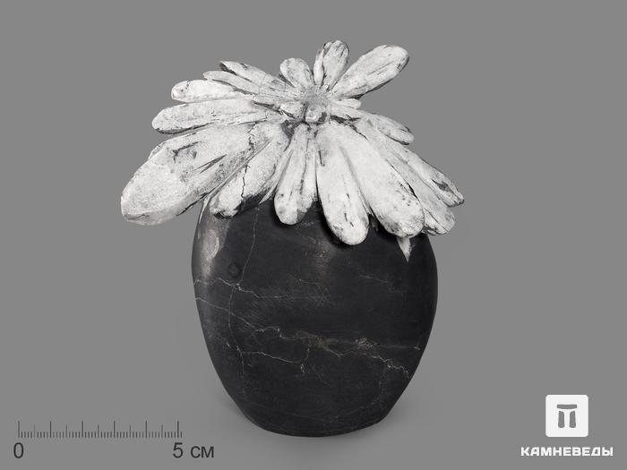 Целестин на аргиллите «хризантемовый камень», 13х11,3х6,7 см, 19525, фото 1