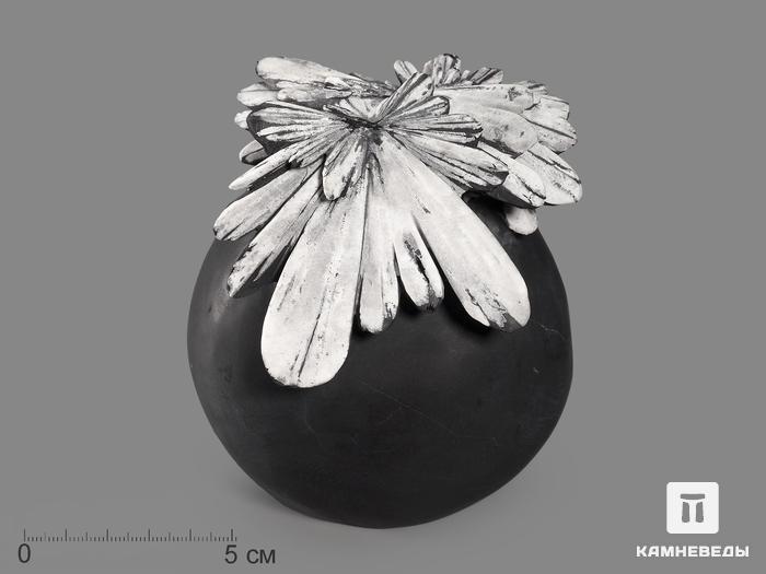 Целестин на аргиллите «хризантемовый камень», 12х9,7х7,5 см, 19524, фото 1