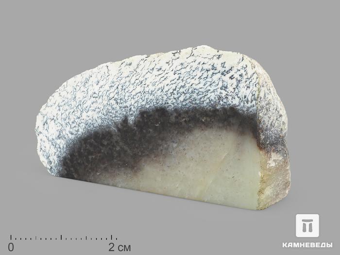 Нефрит моховой, полированный срез 13,5х8,3х3,5 см, 19628, фото 1