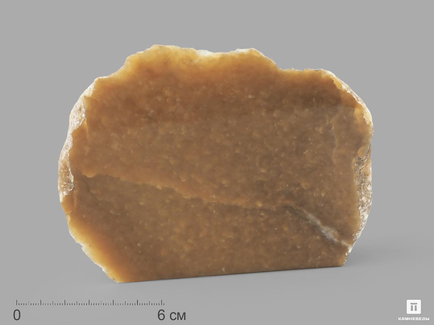Нефрит коричневый, полированный срез 12,5х10,3х2,5 см, 19631, фото 1