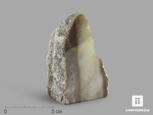 Нефрит моховой, полированный срез 9,9х6,2х4,9 см, 19622, фото 1