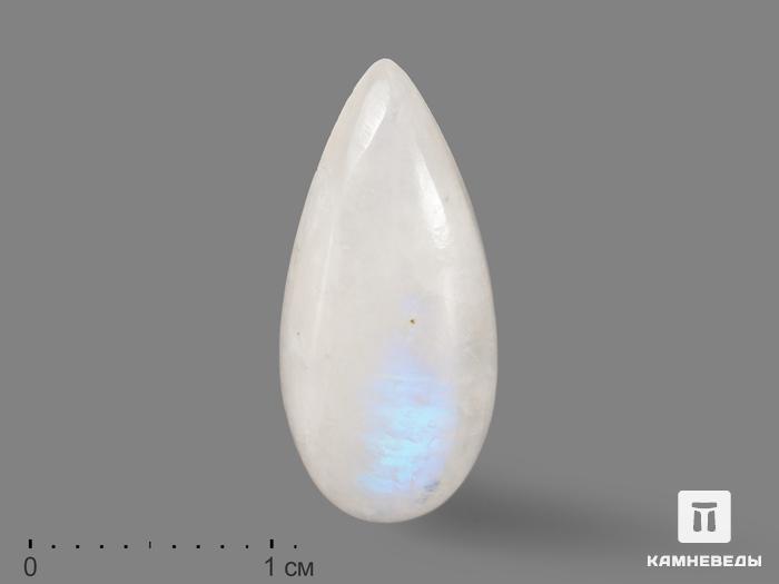 Лунный камень, кабошон 2,1х0,9х0,6 см, 9-58/1, фото 1