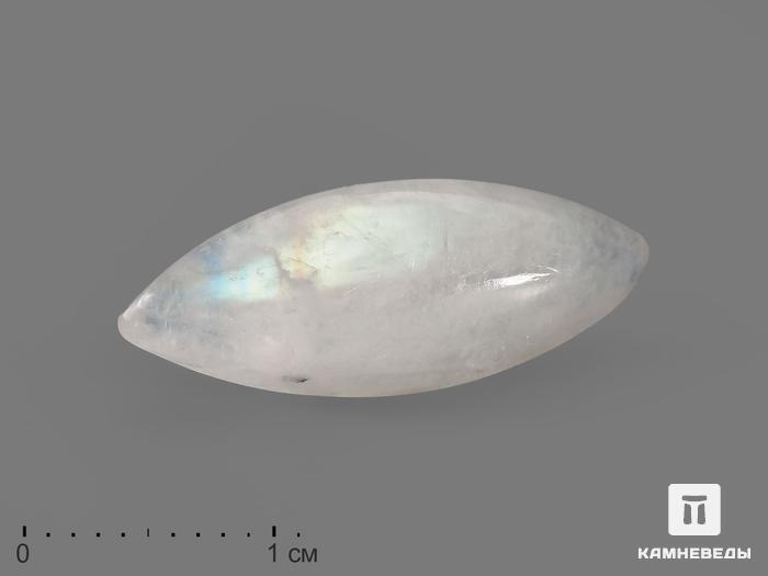 Лунный камень, кабошон 2,2х0,9х0,5 см, 19715, фото 1