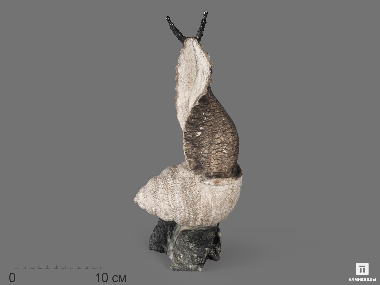 Улитка из кальцита на доломитовой подставке, 29х13х9 см несломленная елена докич