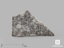Метеорит Aba Panu, пластина в боксе 2,1х1,4х0,1 см (0,7 г)