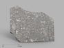 Метеорит Aba Panu, пластина  в боксе 3х2,5х0,1 см (3 г), 19811, фото 1