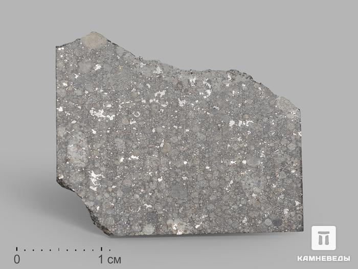 Метеорит Aba Panu, пластина  в боксе 3х2,5х0,1 см (3 г), 19811, фото 1