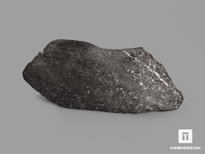 Метеорит Tassédet 004, пластина в боксе 4,4х1,9х0,1 см (3,3 г), 19806, фото 2