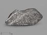 Метеорит Tassédet 004, пластина в боксе 4,4х1,9х0,1 см (3,3 г), 19806, фото 1