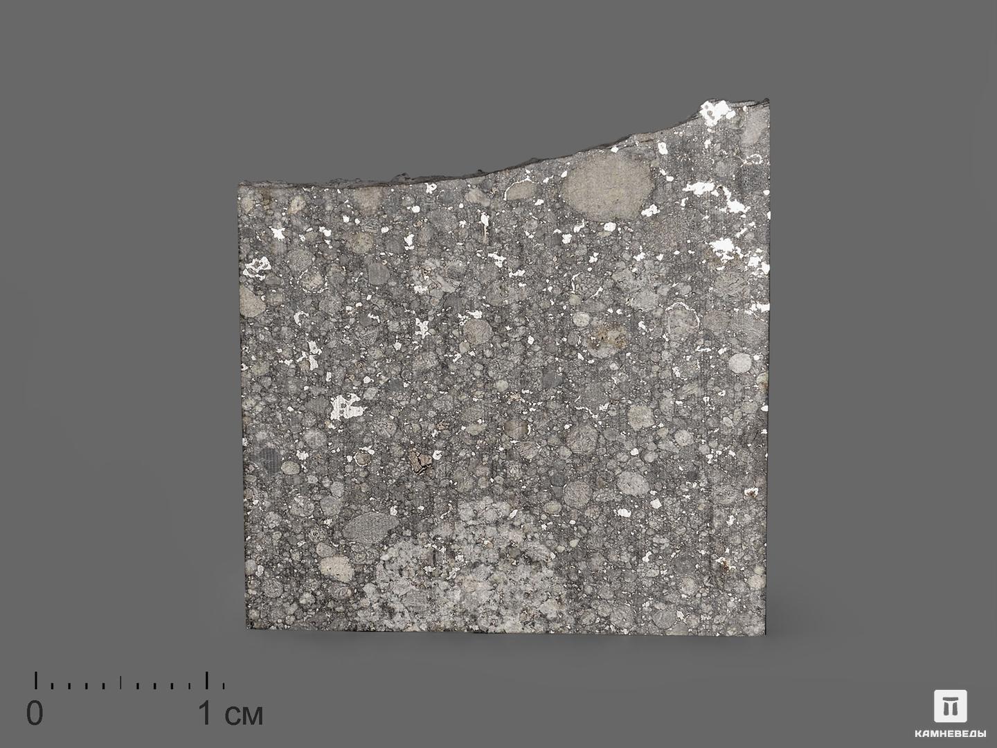 Метеорит Aba Panu, пластина в боксе 3,1х3х0,1 см (5,8 г) метеорит aba panu пластина 3х3 см 4 4 5 г