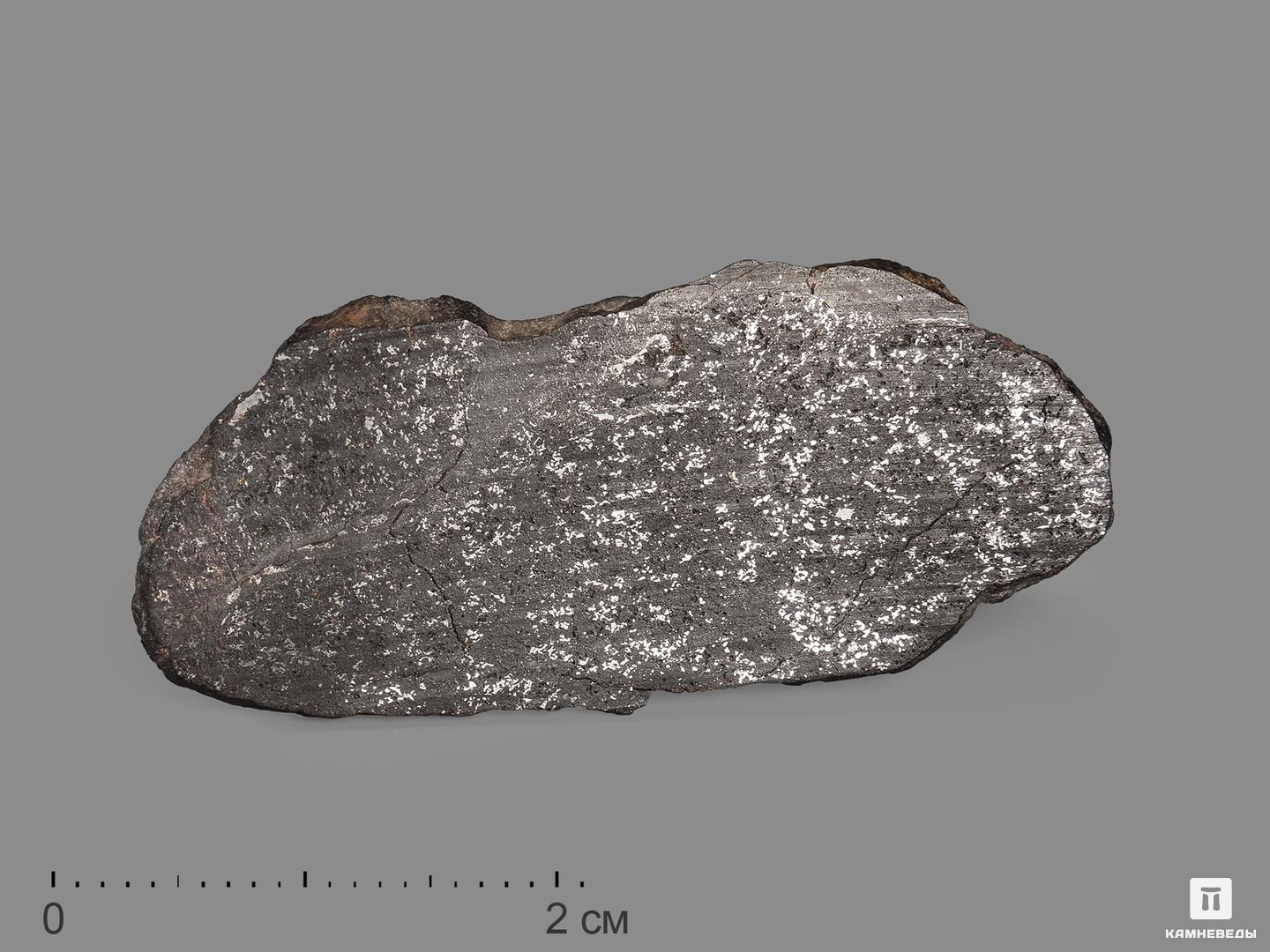 Метеорит Tassédet 004, пластина в боксе 3-4 см (2,4 г), 19803, фото 1