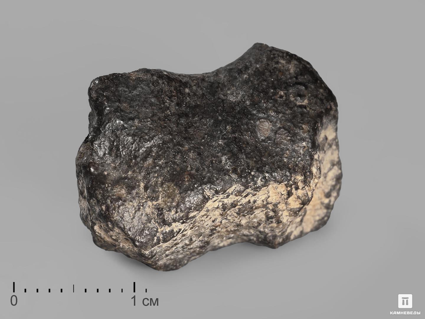 Метеорит NWA 869, 2-3 см (13-14 г) каменный мост