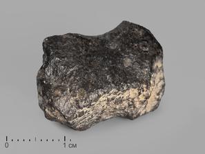 Метеорит NWA 869, 2-3 см (13-14 г)