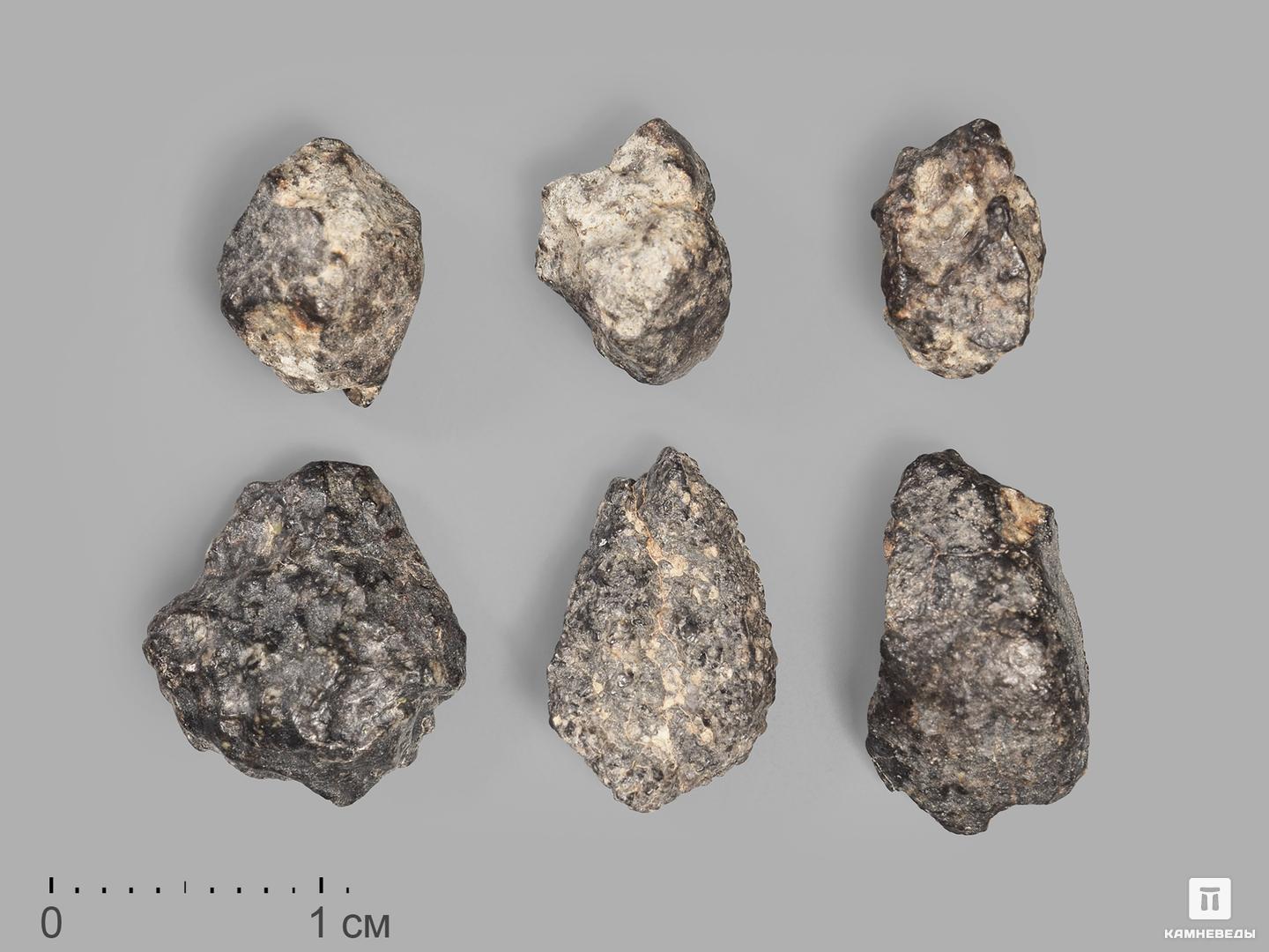 Метеорит NWA 869, 1-1,5 см (0,5-1 г) каменный мост