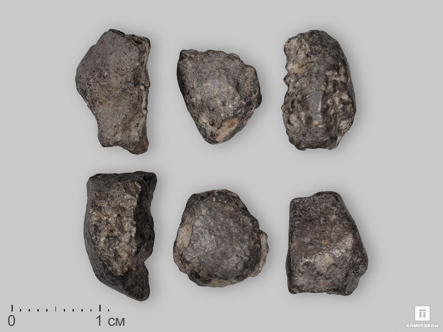 Метеорит NWA 869, 1-2 см (1-2 г) хильда и каменный лес