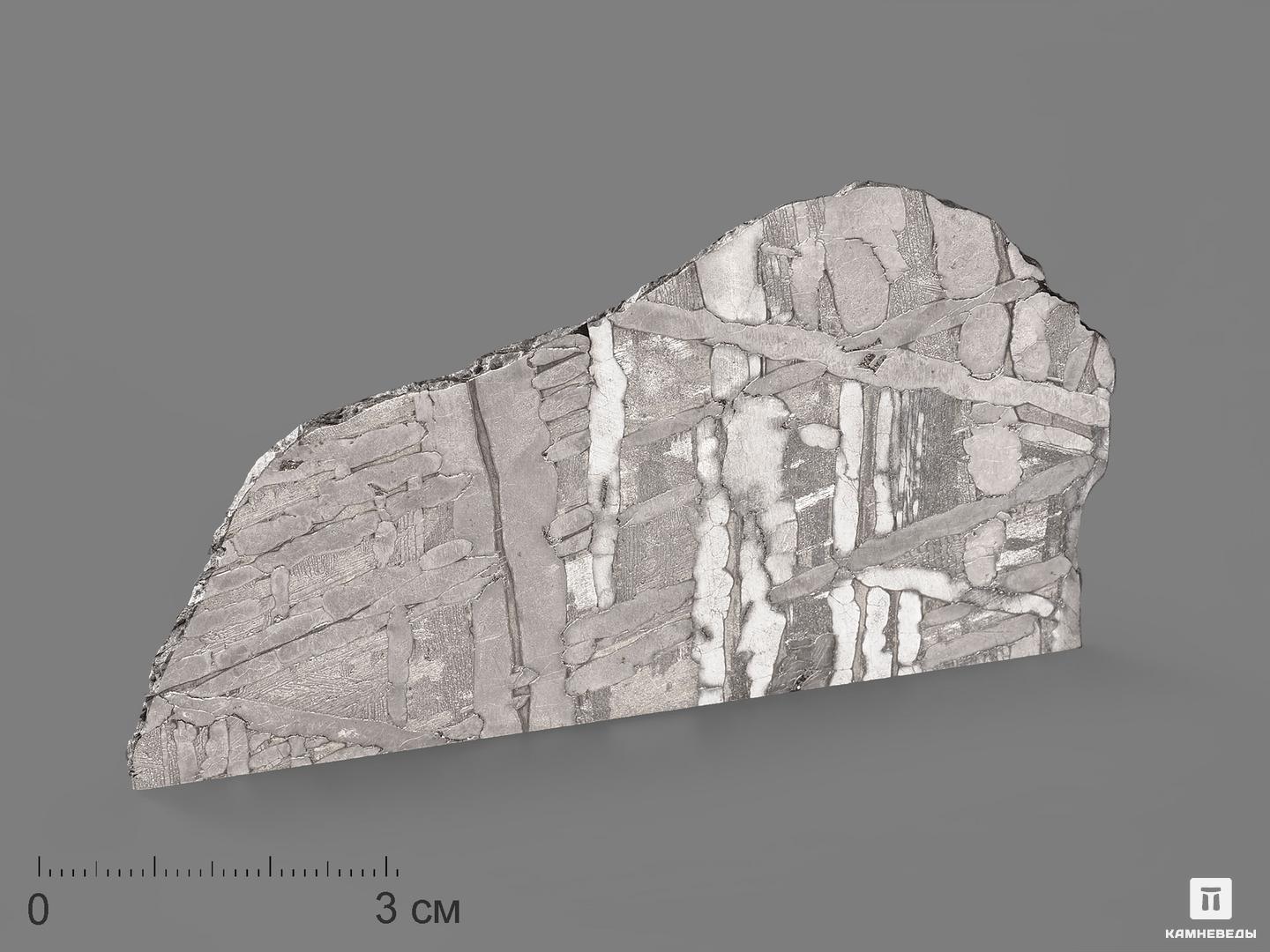Метеорит «Сеймчан», пластина 8,3х4,6х0,2 см (44,7 г), 19836, фото 1