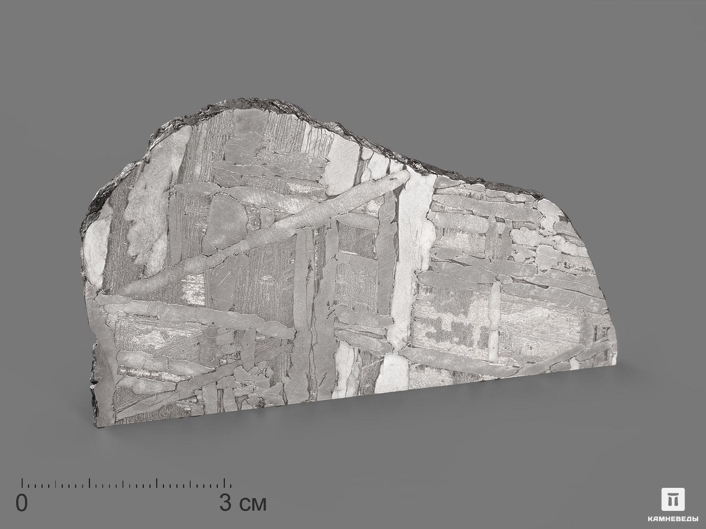 Метеорит «Сеймчан», пластина 8,3х5х0,2 см (47,7 г) метеорит сеймчан пластина 7 7х3 7х0 2 см 33 2 г