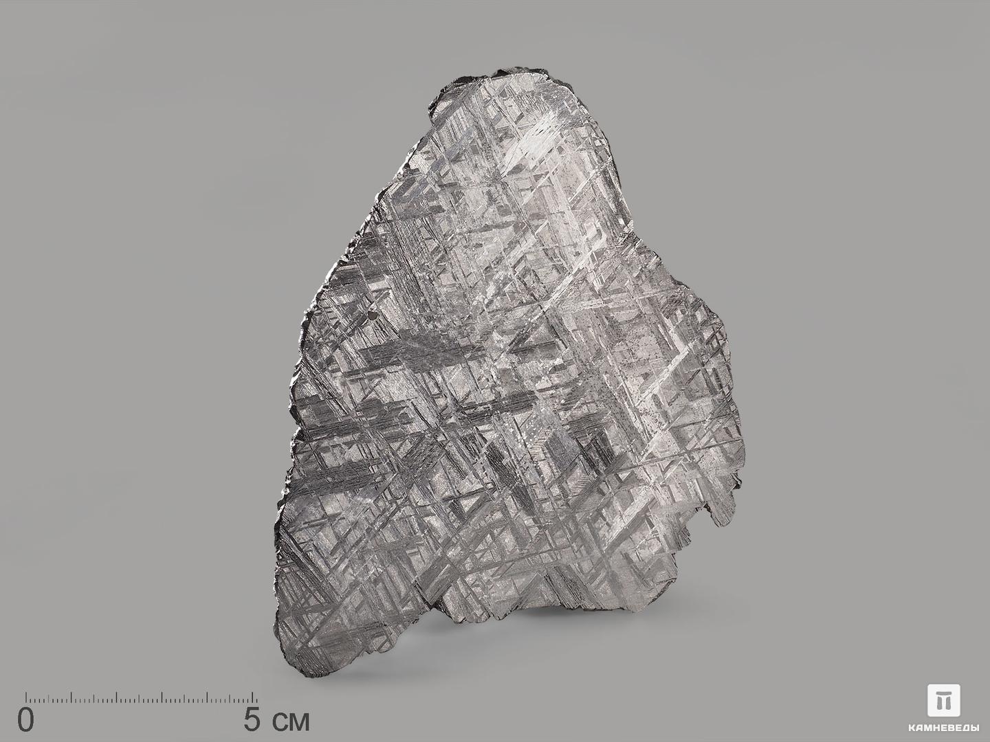 Метеорит Muonionalusta, пластина 12,2х10х0,2 см (101,5 г) метеорит agoudal железный 0 5 1 5 см 0 1 1 г