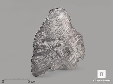 Метеориты. Метеорит Muonionalusta, пластина 12,2х10х0,2 см (101,5 г)