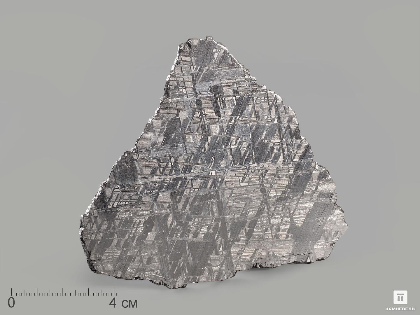Метеорит Muonionalusta, пластина 11,4х9,9х0,2 см (87,2 г) железный миротворец том 6