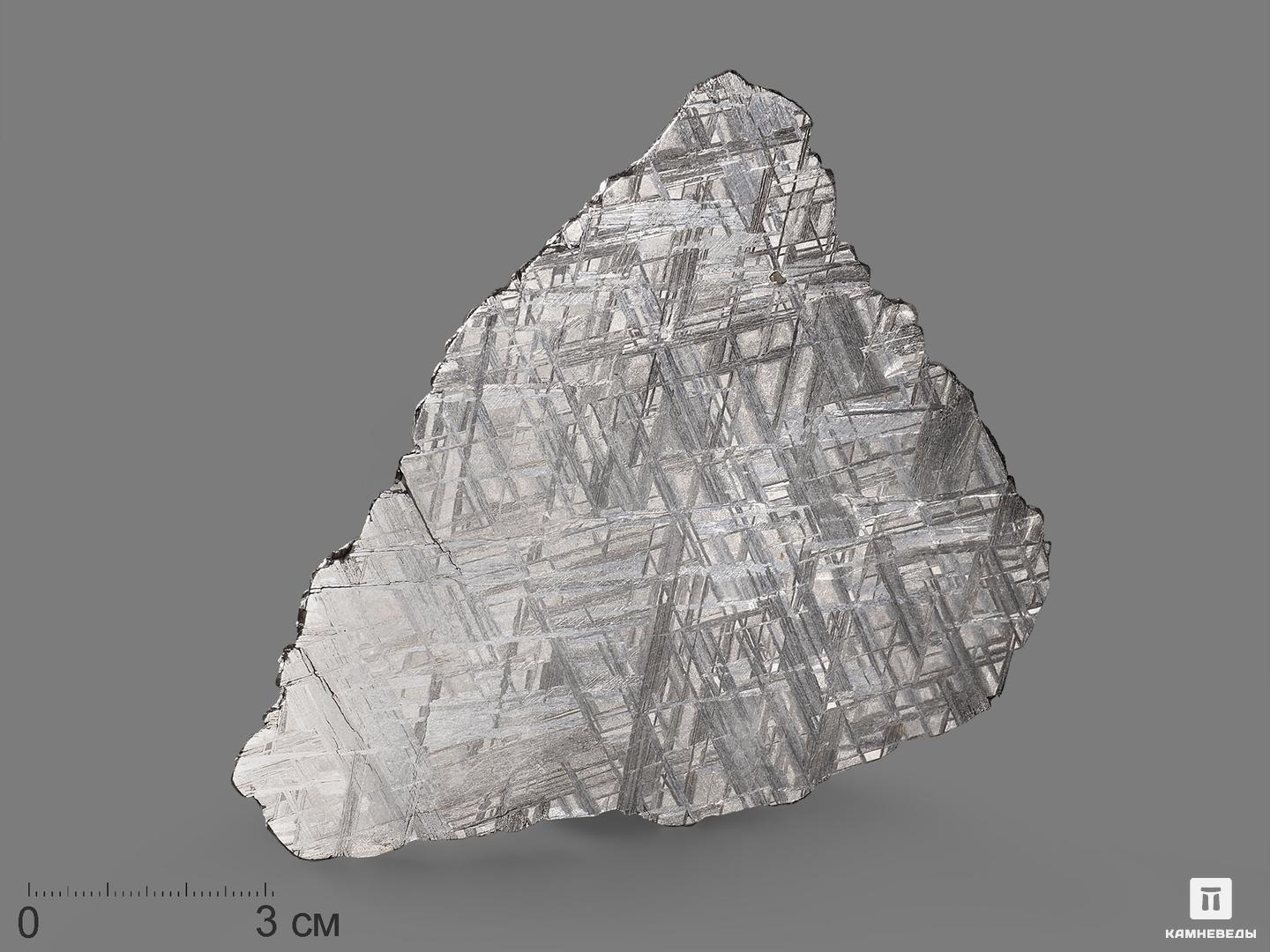 Метеорит Muonionalusta, пластина 10,3х9,4х0,2 см (81,6 г), 19839, фото 1
