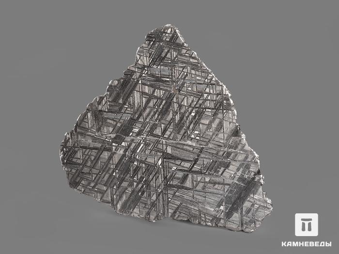 Метеорит Muonionalusta, пластина 10,3х9,4х0,2 см (81,6 г), 19839, фото 2
