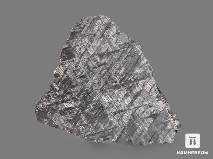 Метеорит Muonionalusta, пластина 12х10,5х0,2 см (119 г), 19841, фото 2