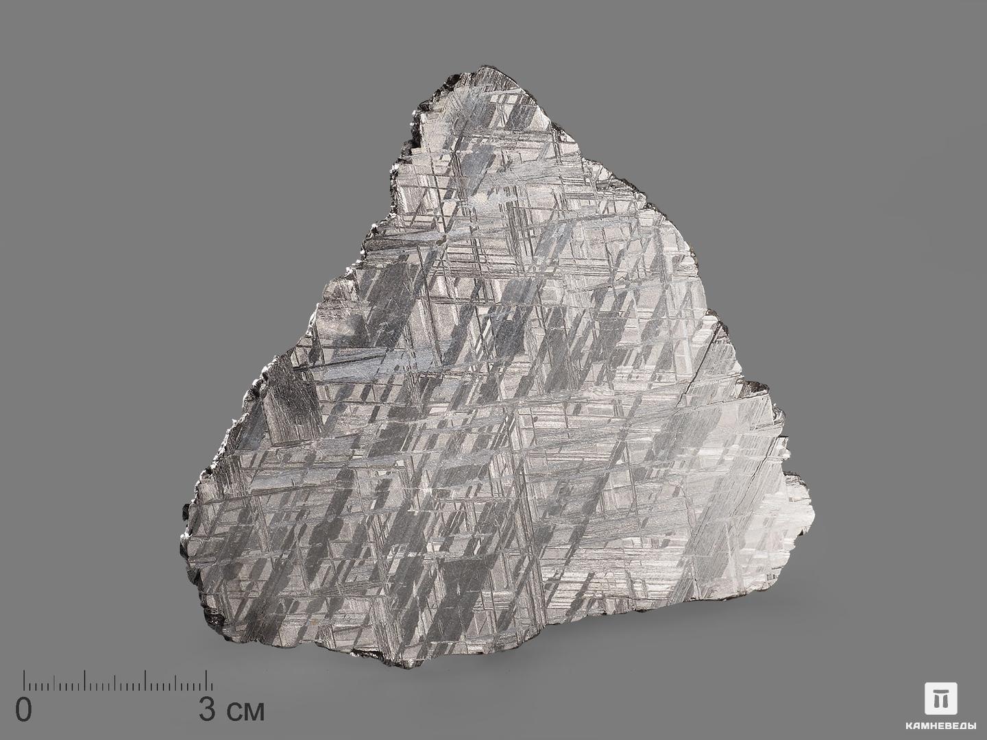 Метеорит Muonionalusta, пластина 12х10,5х0,2 см (119 г) николай гаврилович чернышев 1906 1953