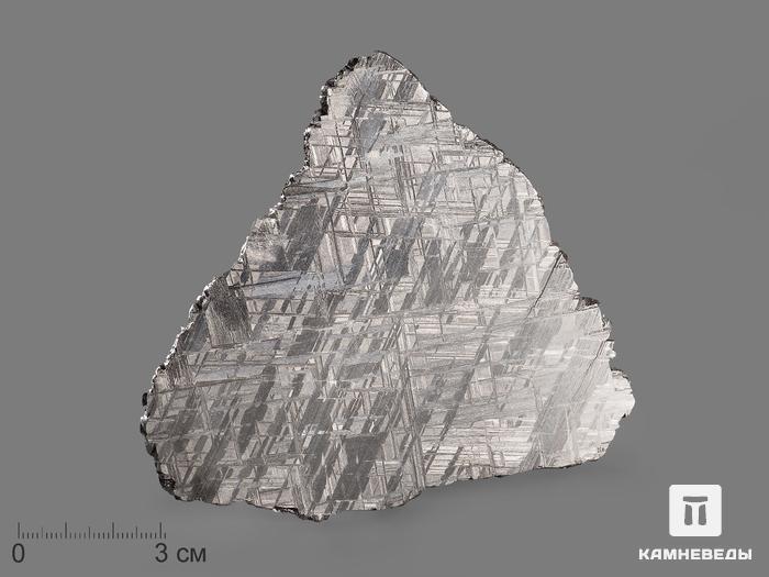 Метеорит Muonionalusta, пластина 12х10,5х0,2 см (119 г), 19841, фото 1