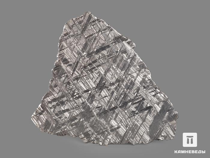 Метеорит Muonionalusta, пластина 12х10,5х0,2 см (119 г), 19841, фото 3