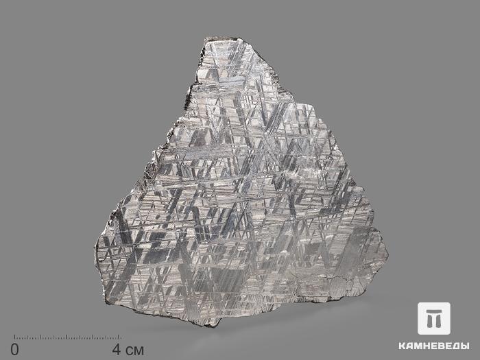 Метеорит Muonionalusta, пластина 12х10,5х0,2 см (119 г), 19841, фото 4