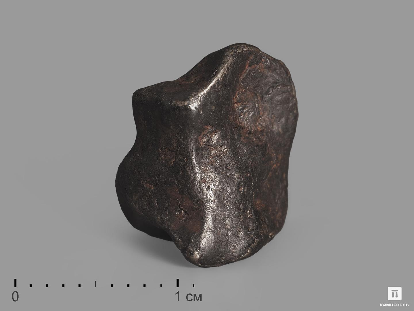 Метеорит Agoudal железный, 1,5-2,5 см (4-5 г)