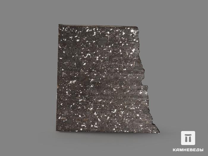 Метеорит Кольцово, пластина в боксе 1,9х1,9х0,1 см (1,5 г), 19849, фото 2