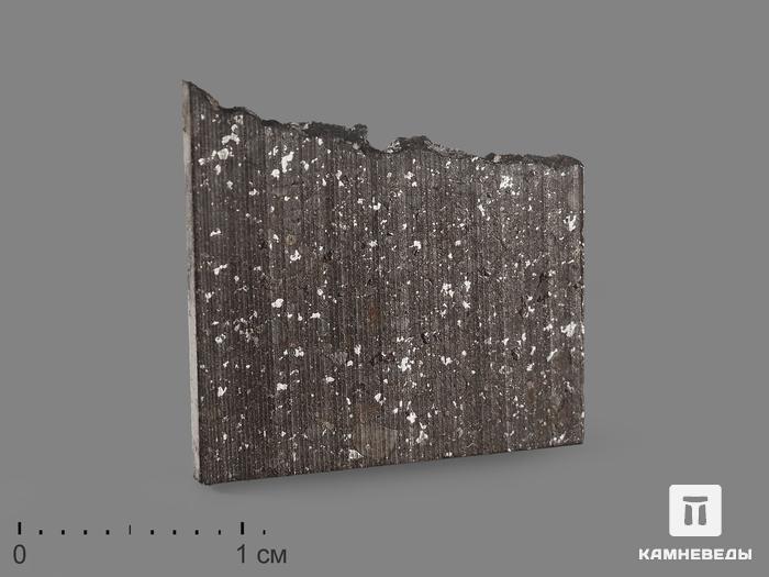 Метеорит Кольцово, пластина в боксе 1,9х1,9х0,1 см (1,5 г), 19849, фото 1