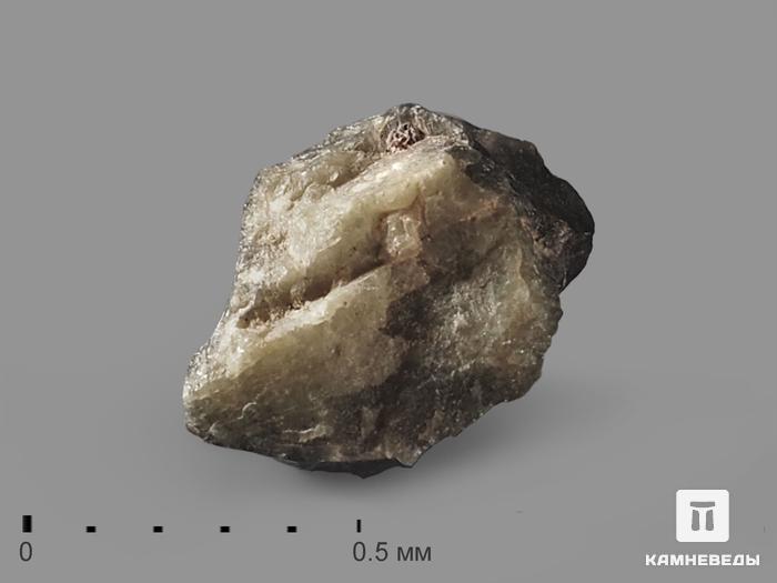 Метеорит Tatahouine в пластиковом боксе (0,24 г), 19847, фото 1