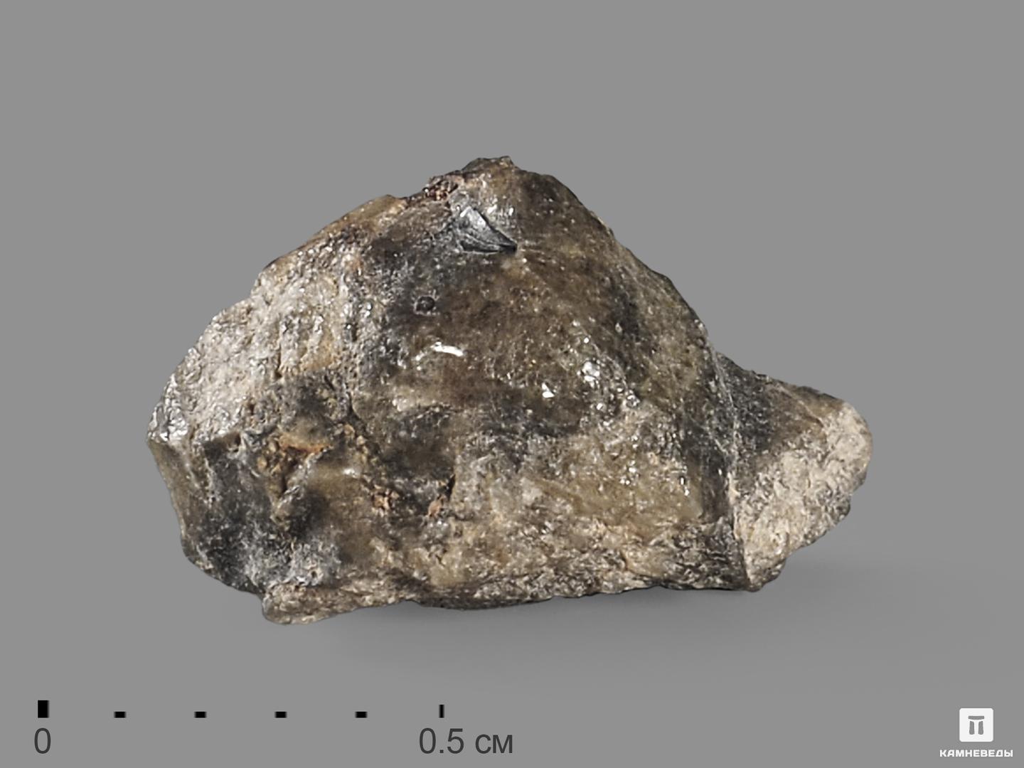 Метеорит Tatahouine в пластиковом боксе (0,21 г)