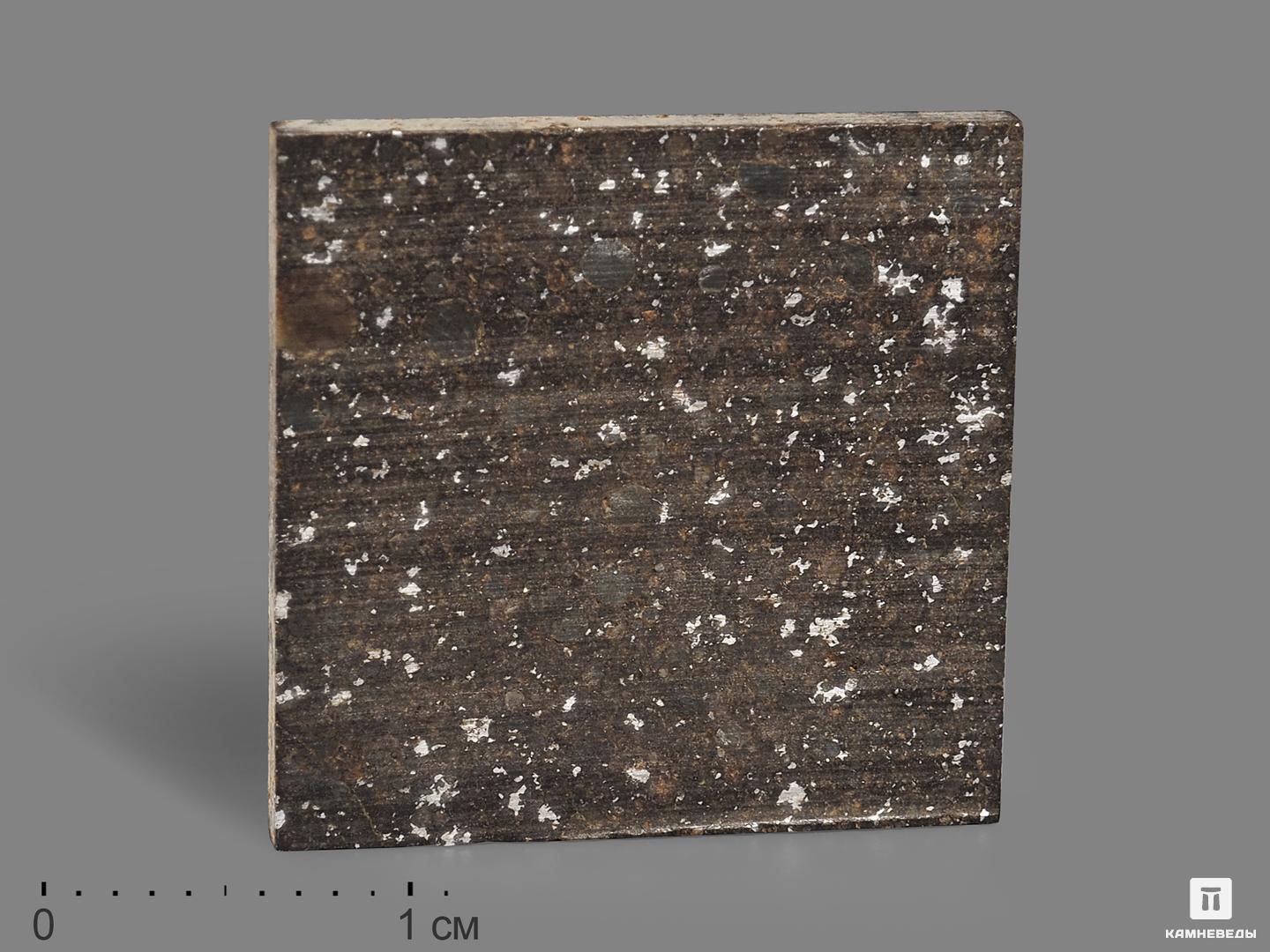 Метеорит Кольцово, пластина в боксе 2х2х0,1 см (2,2 г) кулон метеорит muonionalusta 2х2х0 2 см