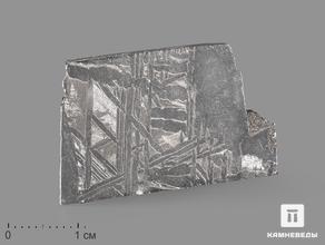 Метеорит Aletai в пластиковом боксе, 3,2х2,1х0,1 см (6,7 г)