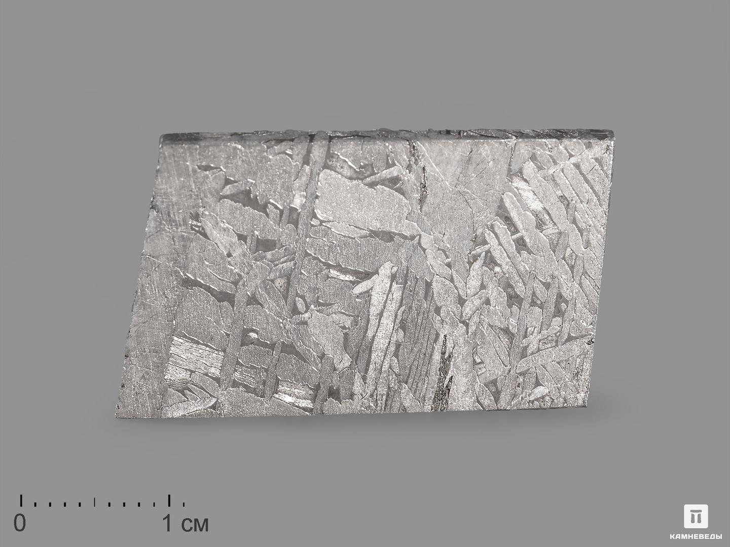 Метеорит Aletai в пластиковом боксе, 3,3х2,1х0,2 см (8,6 г) письма в художественный театр 1898 1913 т1