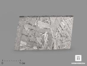 Метеорит Aletai в пластиковом боксе, 3,3х2,1х0,2 см (8,6 г)
