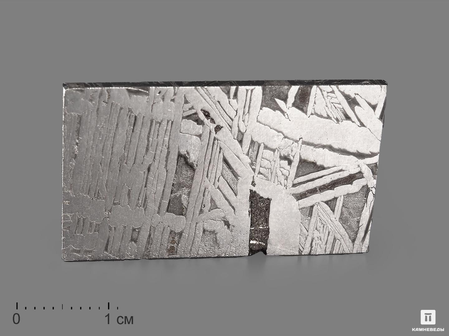 Метеорит Aletai в пластиковом боксе, 3,5х2х0,1 см (8,7 г)