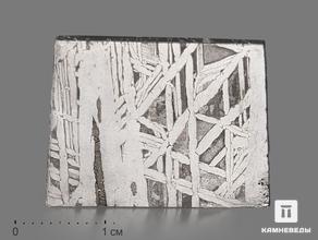 Метеорит Aletai в пластиковом боксе, 2,7х2,1х0,2 см (6,85 г)