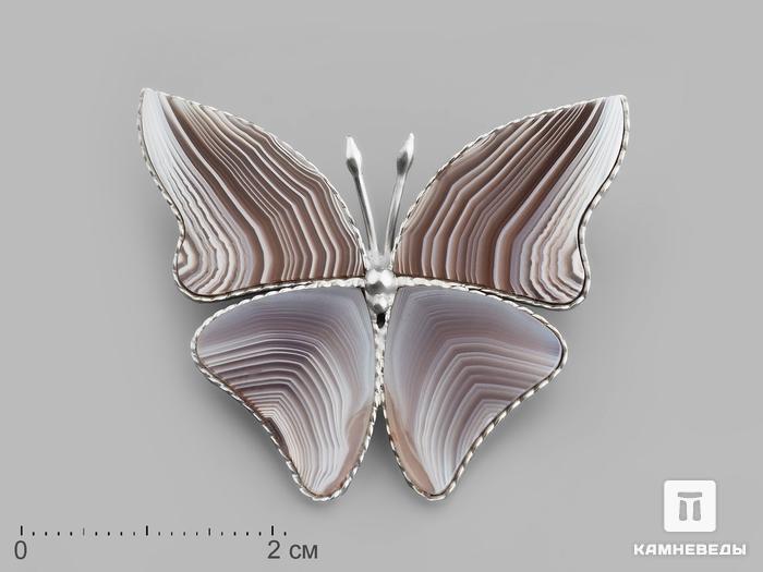 Брошь «Бабочка» с агатом, 3,9х3,2х0,2 см, 19863, фото 1