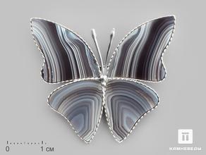 Брошь «Бабочка» с агатом, 4,1х3,7х0,2 см