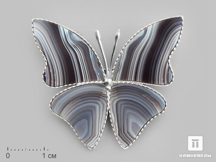 Брошь «Бабочка» с агатом, 4,1х3,7х0,2 см, 19864, фото 1