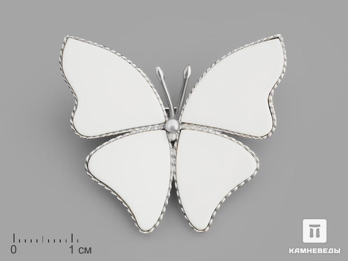 Брошь «Бабочка» с кахолонгом (белым опалом), 3,5х3х0,2 см, 19868, фото 1