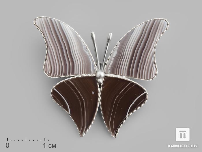 Брошь «Бабочка» с агатом, 3,5х3,1х0,2 см, 19869, фото 1