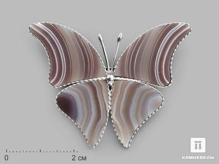 Брошь «Бабочка» с агатом, 4,7х3,6х0,2 см, 19862, фото 1