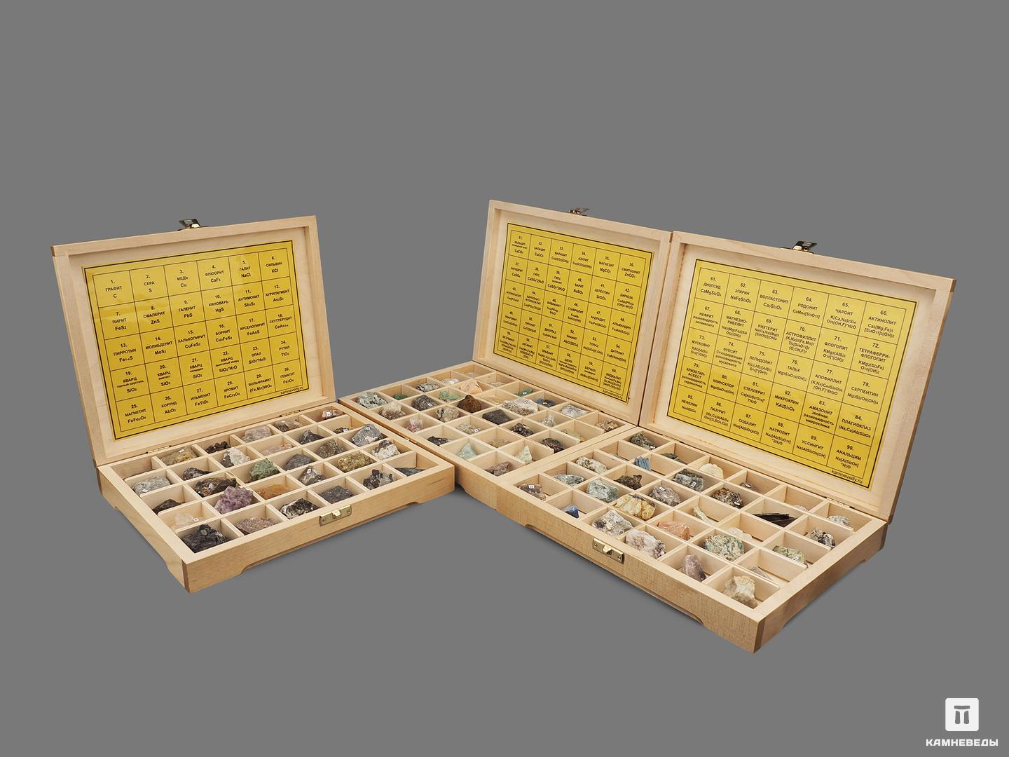 Систематическая коллекция минералов и разновидностей (90 образцов) обществознание 6 11 классы