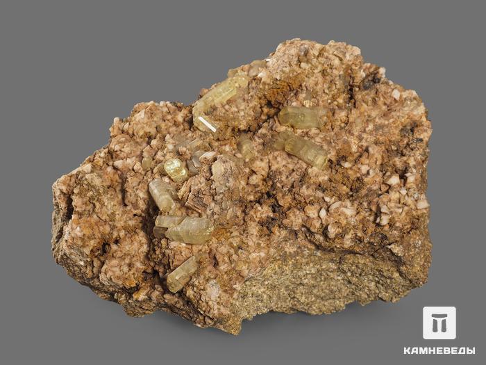 Апатит, кристаллы на породе, 10,1х6,8х6 см, 4731, фото 2